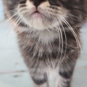 Meet your Posher, Jose